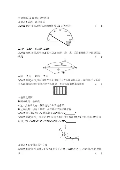 中考数学考点集训分类训练11 图形的初步认识(含答案)
