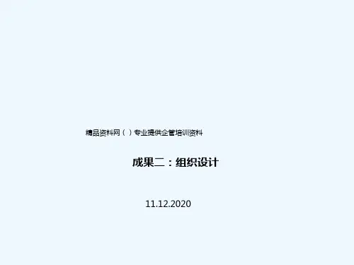 中国首都机场集团管理模式设计成果二--组织设计(PPT71页)