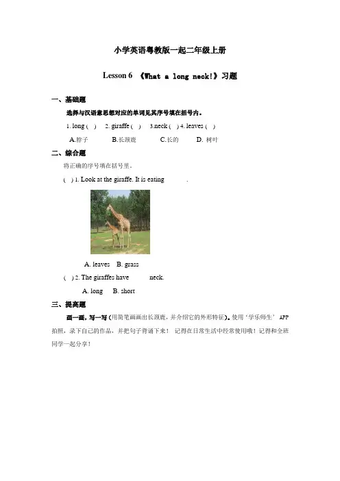 小学英语粤教版一起二年级上册Lesson6 What a long neck习题