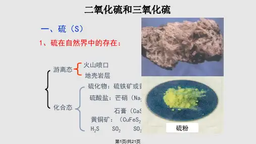 二氧化硫和三氧化硫PPT课件