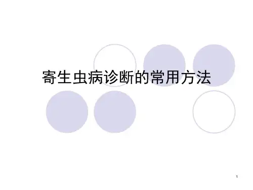 寄生虫常见诊断方法