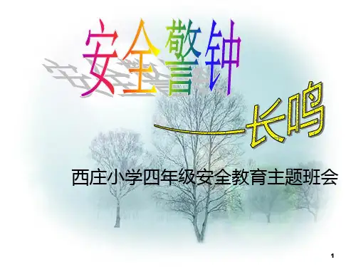 小学四年级交通安全教育主题班会PPT课件