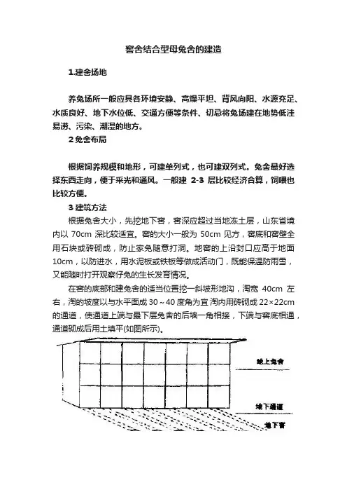 窖舍结合型母兔舍的建造