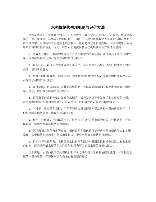 水稻抗倒伏生理机制与评价方法