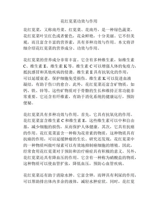 花红苋菜功效与作用