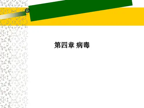 第四章-病毒课件