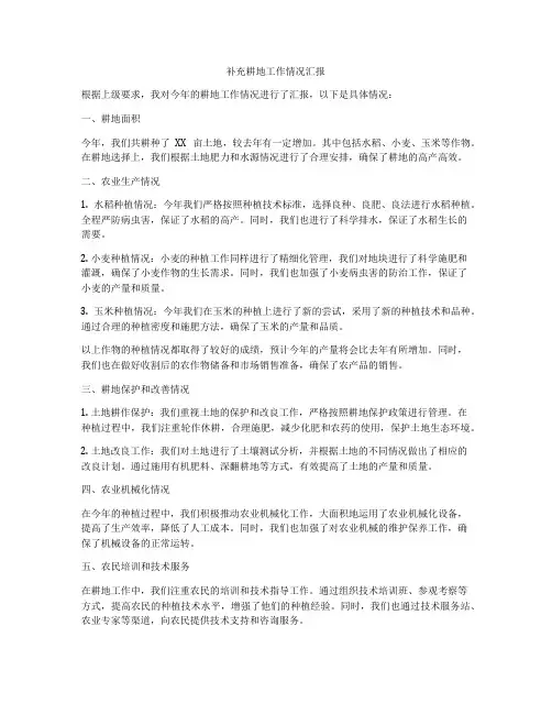 补充耕地工作情况汇报