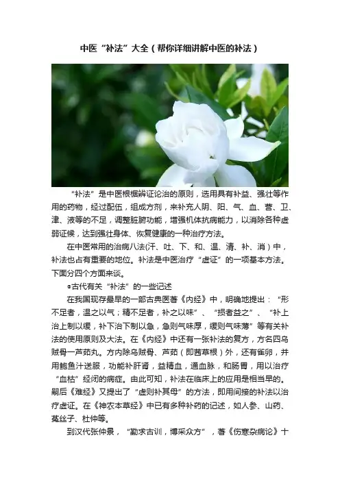 中医“补法”大全（帮你详细讲解中医的补法）