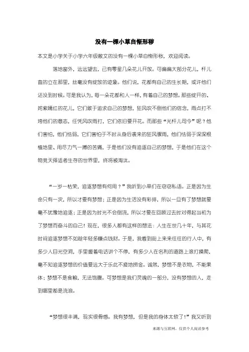 小学六年级散文：没有一棵小草自惭形秽