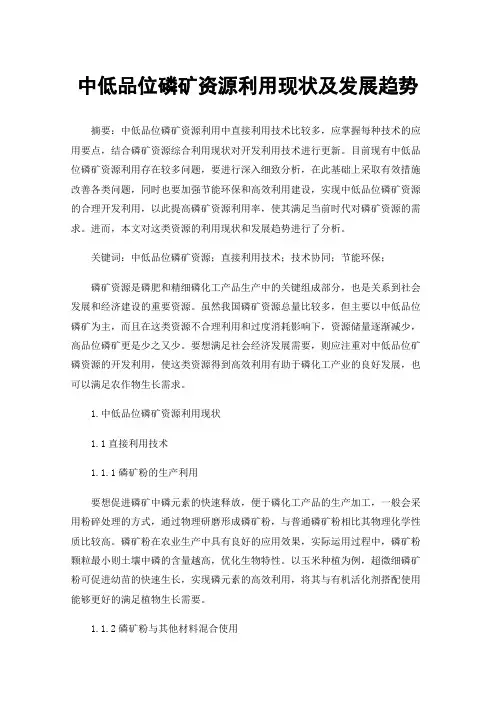 中低品位磷矿资源利用现状及发展趋势