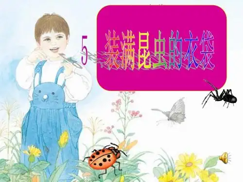 装满昆虫的衣袋PPT