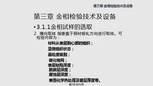 金相检验技术.pptx