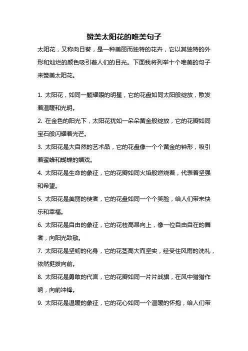 赞美太阳花的唯美句子