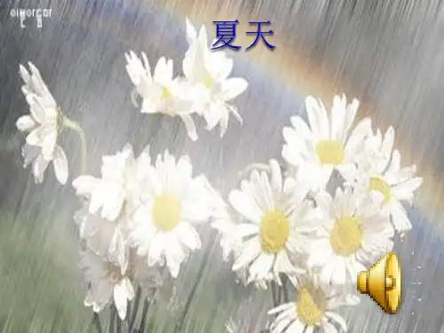 美丽的夏天(课堂PPT)
