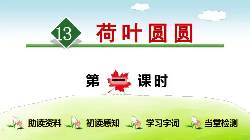 《荷叶圆圆》(完整版)PPT课件