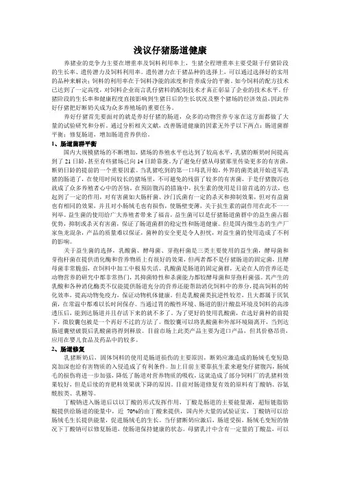 仔猪肠道健康