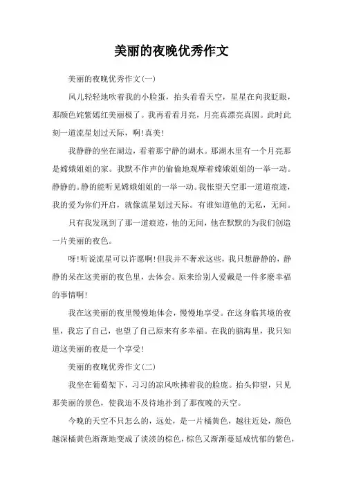 美丽的夜晚优秀作文
