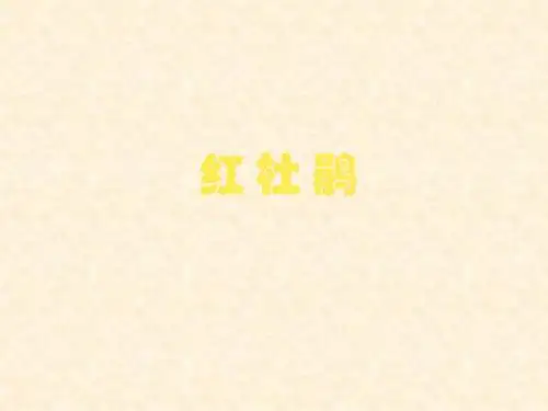 赣美版美术七下第6课《红杜鹃》课件4