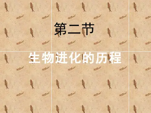 初中生物苏教版八年级上册第二节 生物进化的历程