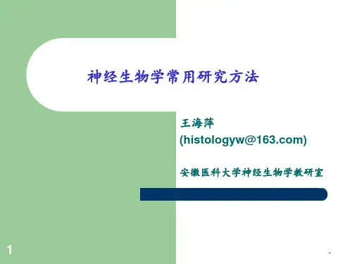 神经生物学常用研究方法PPT课件