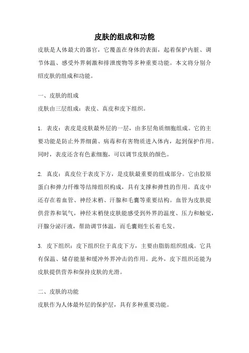 皮肤的组成和功能