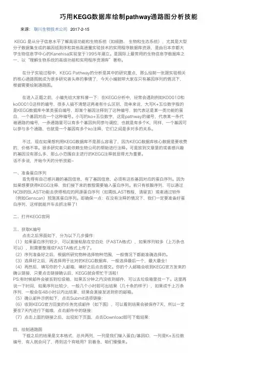 巧用KEGG数据库绘制pathway通路图分析技能