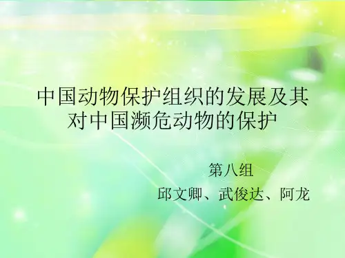 动保组织和濒危动物保护