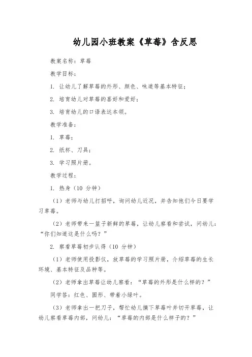 幼儿园小班教案《草莓》含反思