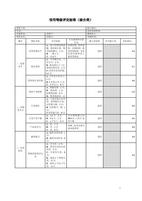 信用等级评估模板1