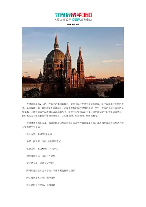 荷兰大学面试内容
