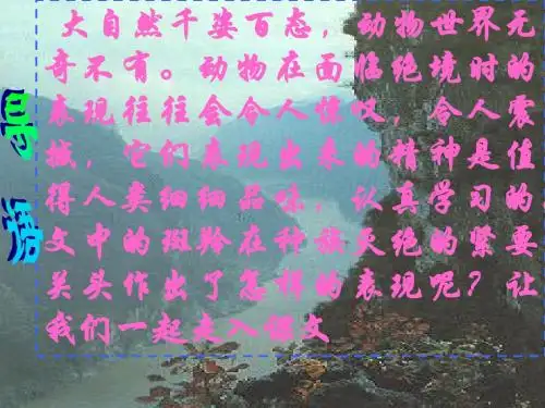 《斑羚飞渡》沈石溪ppt课件2