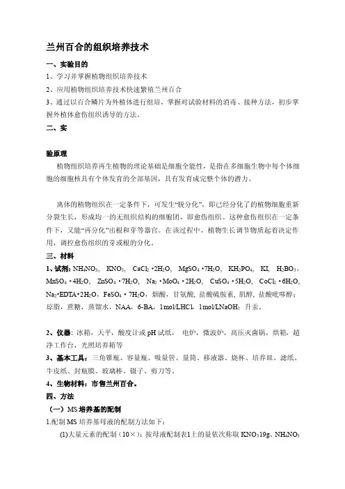 [应用]兰州百合的植物组织培养