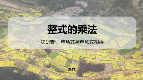 人教版八年级上册数学《整式的乘法》整式的乘法与因式分解说课复习(单项式与单项式相乘)