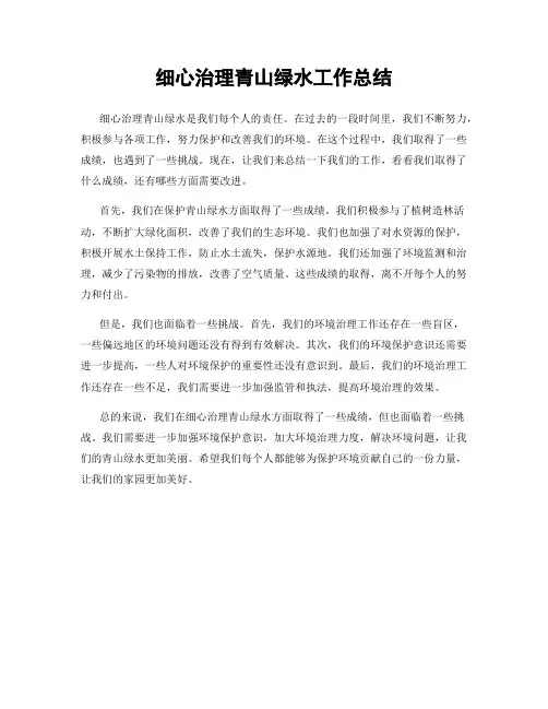 细心治理青山绿水工作总结