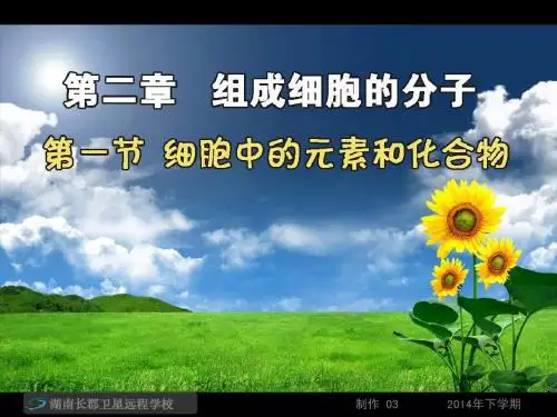必修1第二章 第一节 细胞中的元素和化合物  第五节 细胞中的无机物