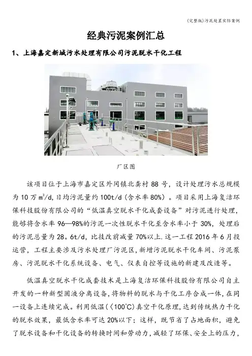 (完整版)污泥处置实际案例