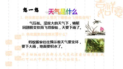 初中八年级物理课件天气气候和人类活动