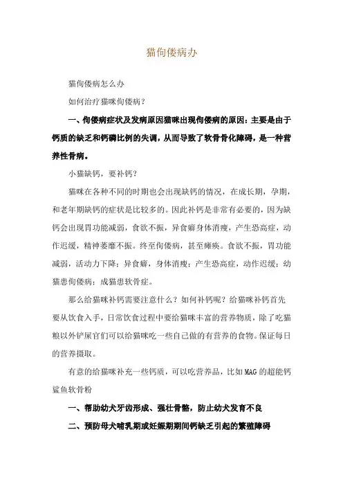 猫佝偻病办