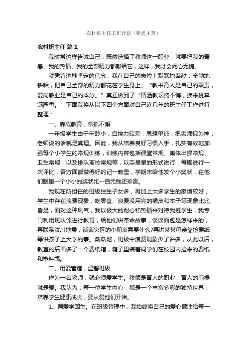 农村班主任工作计划（精选4篇）
