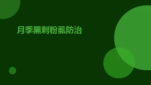 月季黑刺粉虱防治