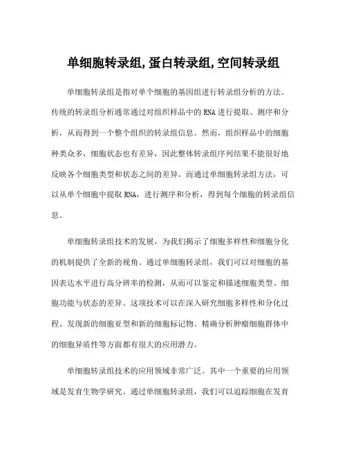 单细胞转录组,蛋白转录组,空间转录组