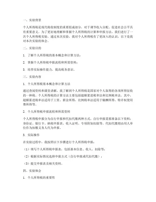 个人所得税实验报告体会