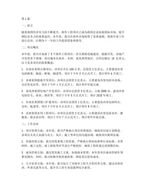 海外工程项目年度总结(3篇)