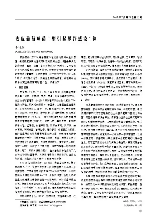表皮葡萄球菌L型引起尿路感染1例
