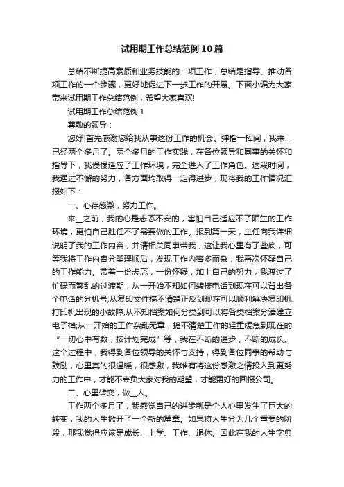 试用期工作总结范例10篇