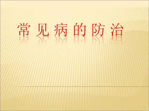 常见疾病防治-ppt课件