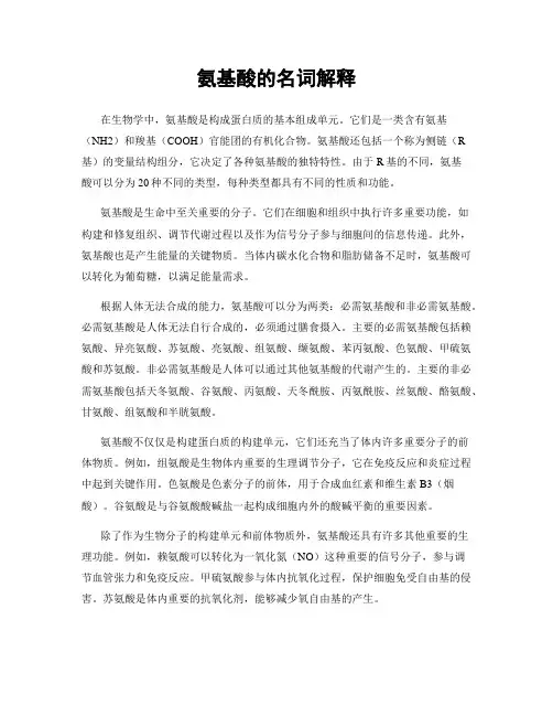 氨基酸的名词解释