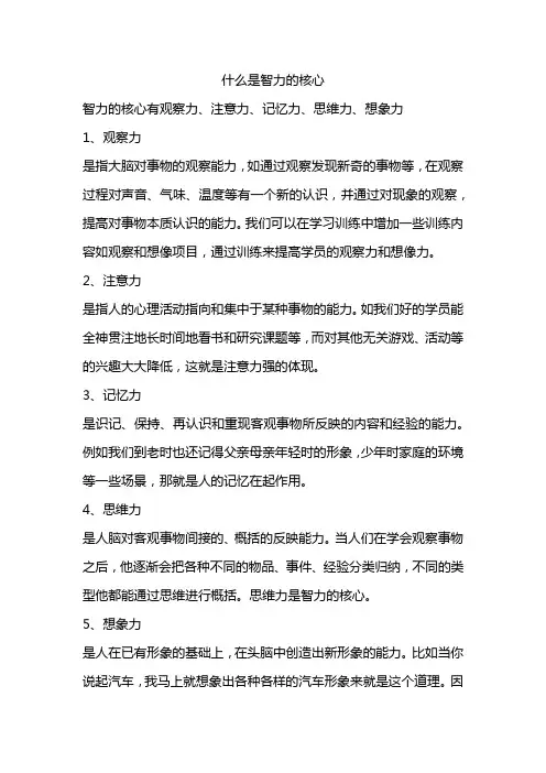 什么是智力的核心