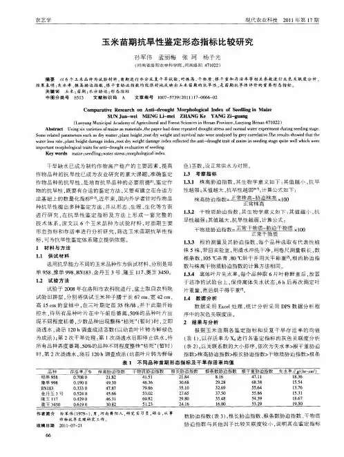 玉米苗期抗旱性鉴定形态指标比较研究