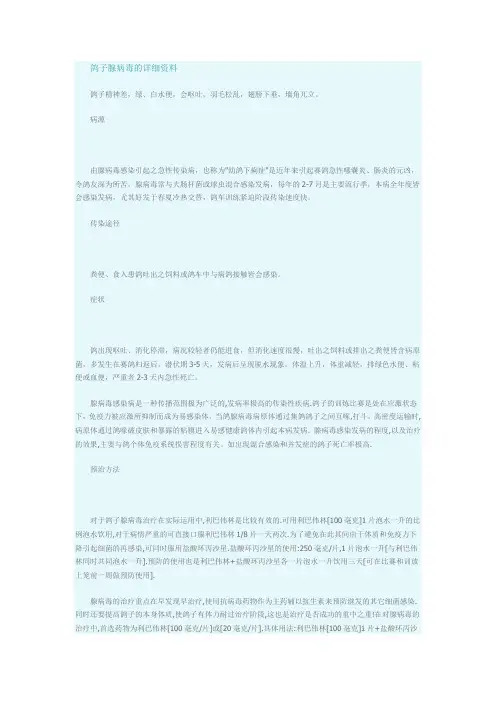 鸽子腺病毒的详细资料